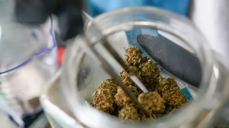 Marijuana buds being pulled from a jar with tweezers
